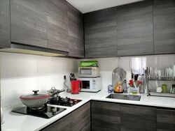 Sims Urban Oasis (D14), Condominium #598747651